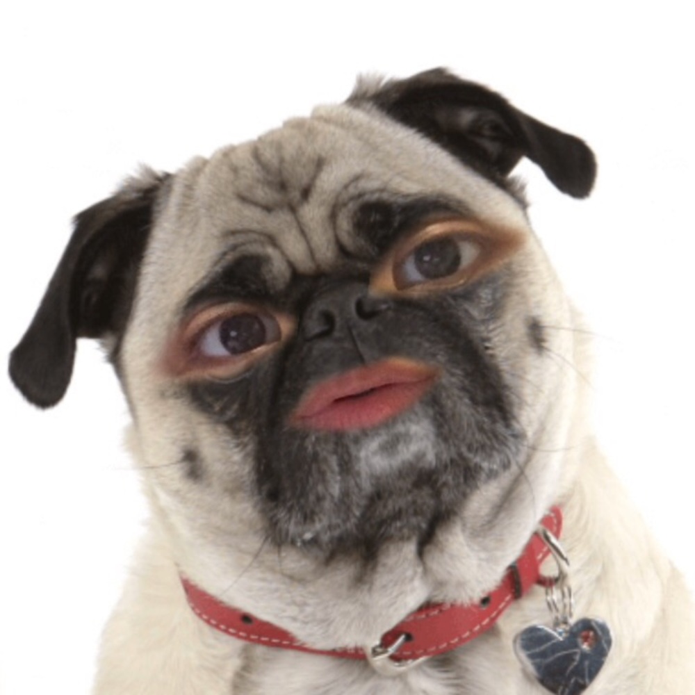 Meet your Posher, Chanikan